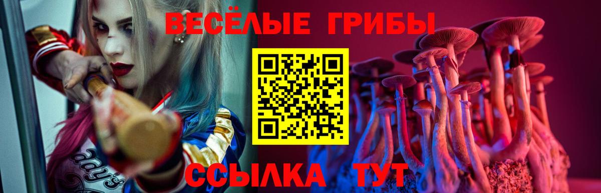 Псилоцибиновые грибы MAGIC MUSHROOMS Горячий Ключ